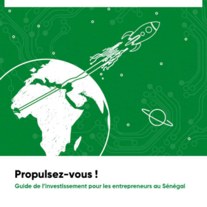 Guide de l'investissement pour les entrepreneurs au Sénégal